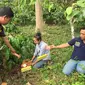 Adegan rekonstruksi tersangka membuang bayinya di semak kebun kopi (Liputan6.com/Nefri Inge)