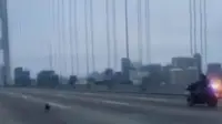 Jendela Dunia: Susahnya Polisi San Fransisco Tangkap Chihuahua