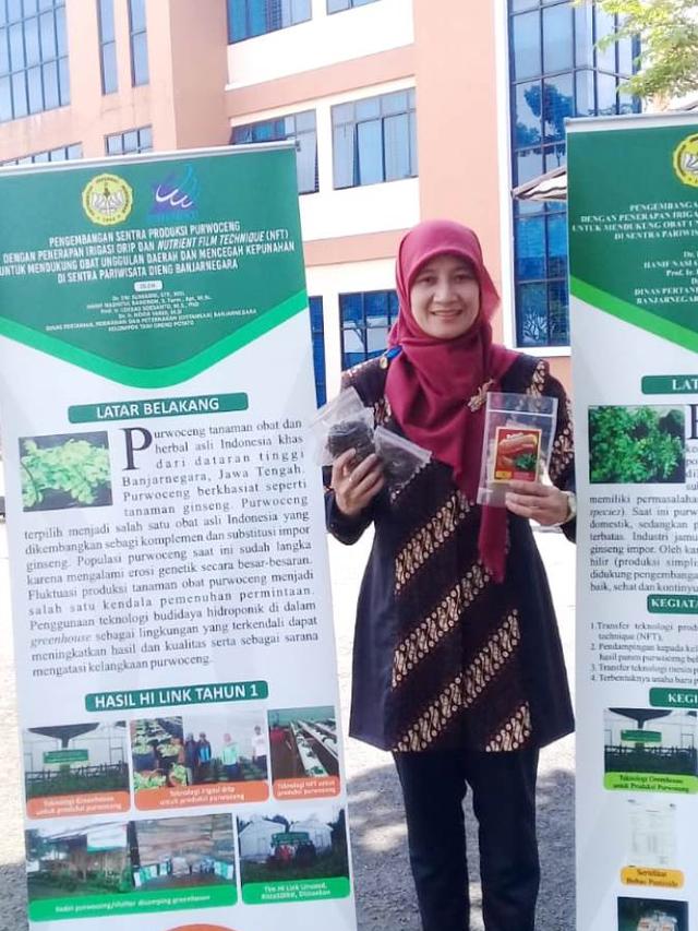 Ketua Tim Pengabdian Unsoed, DR Eni Sumarni Farid menunjukkan Purwoceng Kemasan. (Foto: Liputan6.com/Humas Unsoed/Muhamad Ridlo)