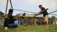 Warga menata bambu untuk membangun kamp pengungsian Gunung Agung di lahan milik dinas pertanian, Karangasem, Bali, Senin (27/11). BNPB mengatakan ada 22 desa yang warganya harus mengungsi terkait status awas Gunung Agung. (Liputan6.com/Andi Jatmiko)