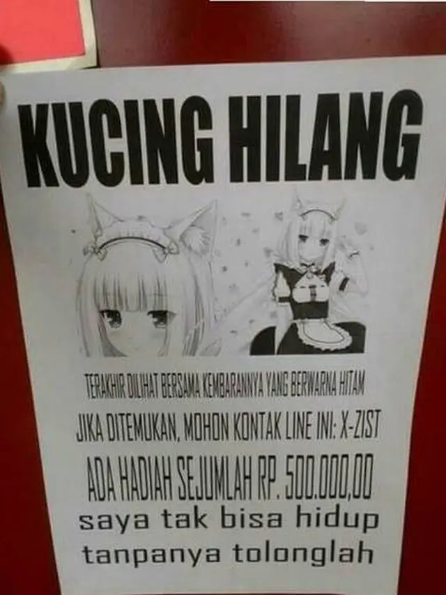 6 Pemberitahuan Kucing Hilang Ini Nyeleneh Banget, Curi Perhatian