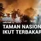 Taman Nasional Ikut Terbakar