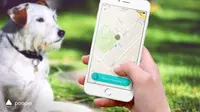Pooper, Aplikasi Khusus Pemungut Kotoran Anjing