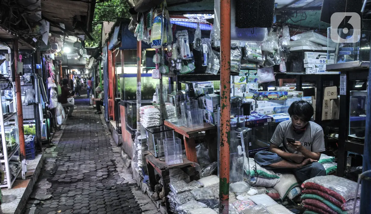 Pedagang bermain samrtphone saat menunggu pembeli di kios Pasar Ikan Hias Sumenep, Jakarta, Minggu (14/11/2021).  KKP meminta para pedagang hewan peliharaan yang selama ini berjualan di sosial media seperti Facebok dan Instagram untuk beralih ke platform lain. (merdeka.com/Iqbal S. Nugroho)