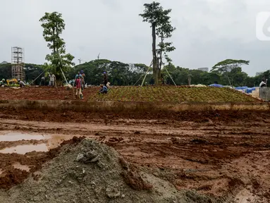 Pekerja melakukan penanaman kembali pohon-pohon di area proyek revitalisasi Taman Sisi Selatan Monumen Nasional, Jakarta, Rabu (5/2/2020). Penanaman dilakukan untuk mengganti pohon lama yang ditebang saat pembangunan proyek Plaza Selatan serta bagian dari penghijauan Monas. (merdeka.com/Imam Buhori)