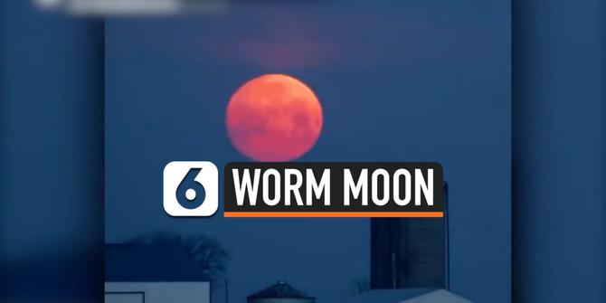 VIDEO: Mengenal Fenomena Worm Moon, Bulan Purnama Super