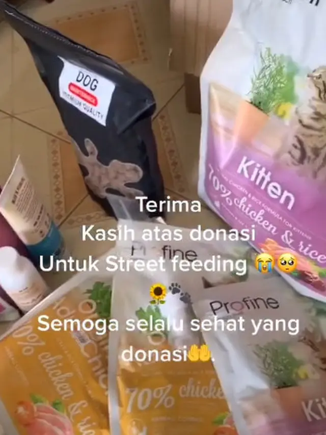 Dermawan, Pria Ini Rutin Beri Makan Kucing Liar yang Kelaparan