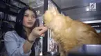 Momen Lebaran ini, bisnis penitipan hewan biasanya laris manis dan meraup omzet yang lumayan besar.