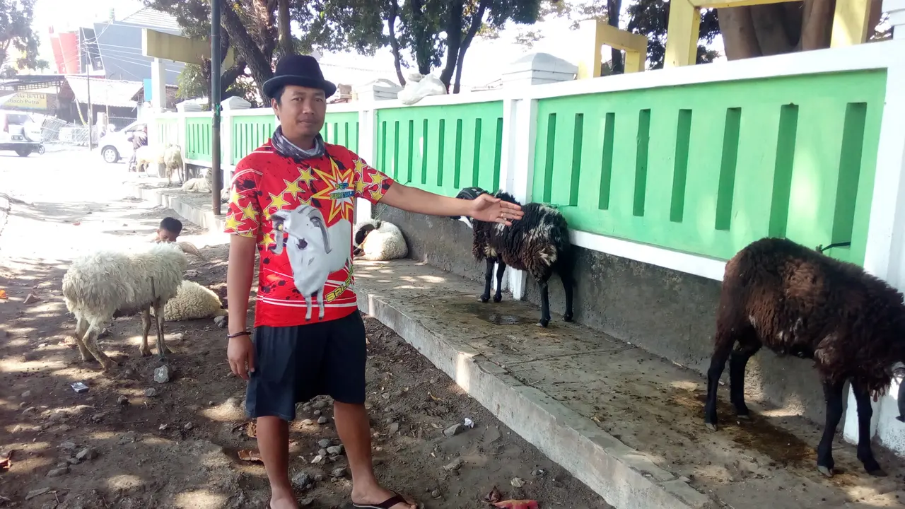 Brikpa Saripin, nyambi jualan domba jelang idul Adha