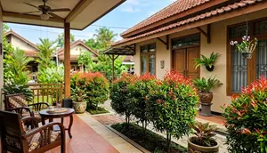 9 Tips Menata Pucuk Merah di Teras Rumah agar Tampak Lebih Estetik