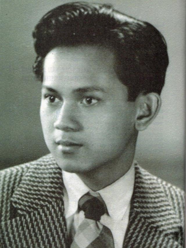 potret habibie
