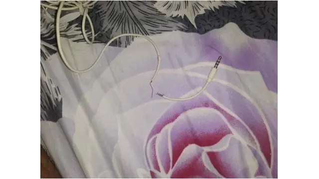 Putusin Kabel Headset Majikannya, Kucing Ini Bawa Ganti Benda Tak Terduga