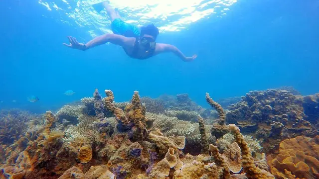 Pulau Kelapan