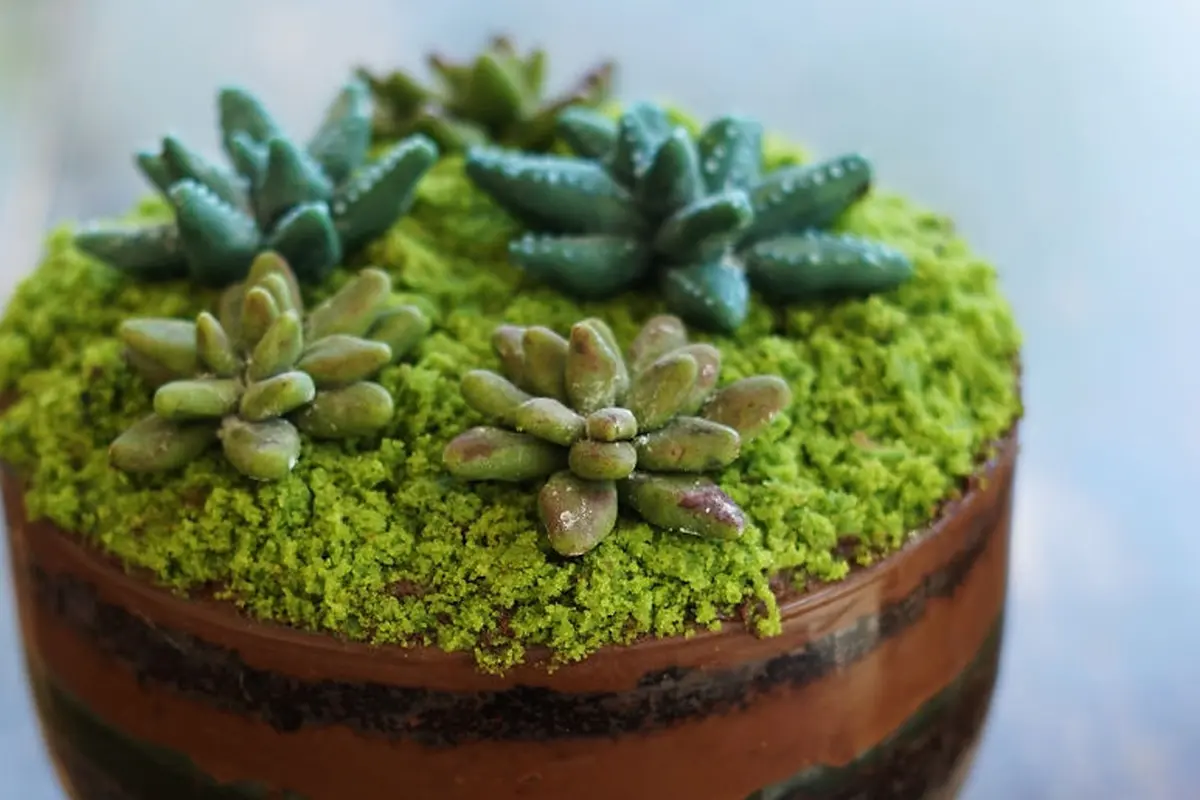 Kue unik menyerupai bentuk tanaman