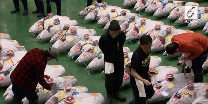 VIDEO: Fantastis, Ikan Tuna Terjual Rp 43 Miliar di Jepang