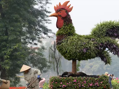 Sebuah tanaman hias berbentuk ayam terpajang di salah satu taman di Hanoi, Rabu (25/1). Pemasangan tanaman berbentuk ayam tersebut dilakukan dalam rangka menyambut tahun baru Imlek. (AFP PHOTO / Hoang DINH NAM)
