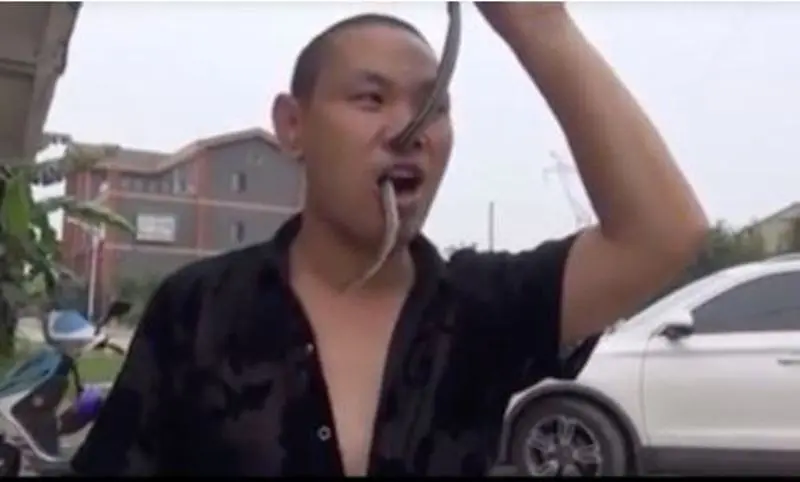 Kung Fu Master Wu Sang melakukan aksi gila dengan memasukkan ular berbisa ke mulut lalu dikeluarkan lewat hidung. 