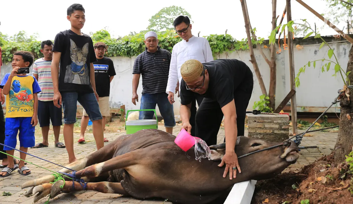 Presenter Eko Patrio saat melihat proses pemotongan hewan kurban di kawasan Cipinang, Jakarta, Jumat (1/9). Eko mempercayakan hewan yang dibeli untuk dikurbankan kepada karyawan-karyawannya. (Liputan6.com/Herman Zakharia)