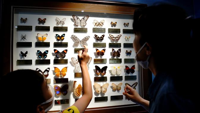 Orang-orang mengunjungi Museum Entomologi Shanghai di Shanghai, China timur (24/8/2020). Selama Festival Sains Shanghai yang berlangsung dari 23-29 Agustus, Museum Entomologi Shanghai akan menyuguhkan livestreaming tentang sains, pengalaman interaktif. (Xinhua/Zhang Jiansong)