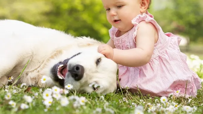[Bintang] Ingin Bayi Tumbuh Lebih Lincah? Biarkan Bayi Bebas Bergerak