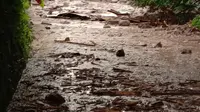 Banjir bandang menerjang satu jorong di Kabupaten Tanah Datar. (Liputan6.com/ Novia Harlina/ Ist)
