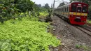 KRL melintas di samping taman yang berada di kawasan Rawajati, Jakarta, Rabu (17/5). Lahan seluas 2.200 meter persegi di bantaran rel KA yang dulu kumuh kini telah menjadi ruang terbuka hijau baru di Ibu Kota. (Liputan6.com/Immanuel Antonius)