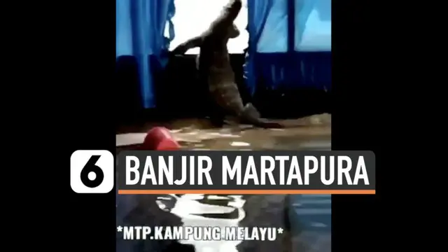VIDEO: Banjir Martapura, Rumah Warga Dimasuki Biawak Besar