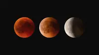 Ilustrasi gerhana bulan. (Photo by Claudio Testa on Unsplash)