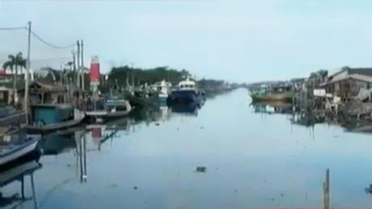 VIDEO: Reklamasi Teluk Jakarta Ganggu Budidaya Kerang Hijau