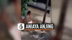 TEREKAM KAMERA, SEKELOMPOK PRIA ANIAYA ANJING HINGGA TEWAS