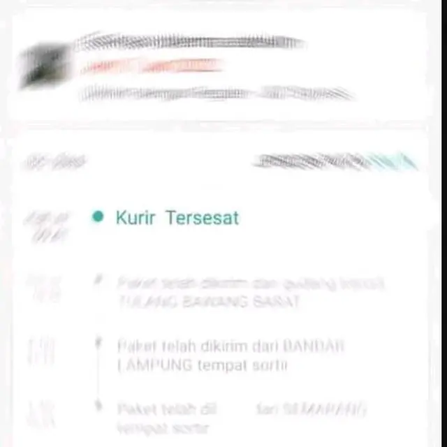 6 Keterangan Kurir Antar Paket Ini Bikin Ngakak, Susah Cari Alamat Sampai Apes