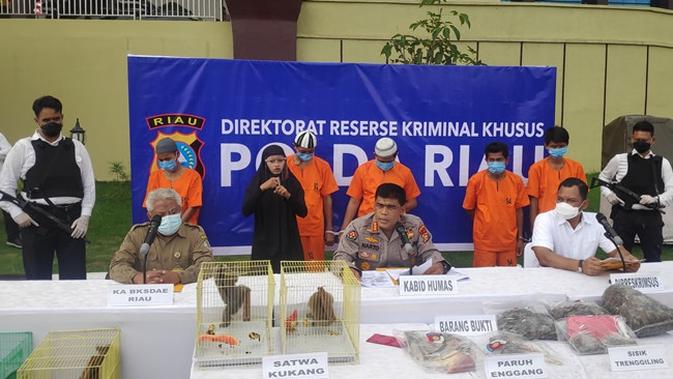 Demi Bahan Kosmetik Luar Negeri, Trenggiling di Riau Banyak Dibantai - Vimarsana News