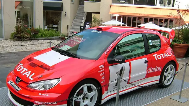 Peugeot 206 (Foto:Wikipedia)