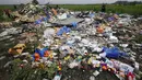 Untaian bunga diletakkan di dekat lokasi jatuhnya pesawat Malaysia Airlines MH-17 di Donetsk, Ukraina, (19/7/2014). (REUTERS/Maxim Zmeyev)