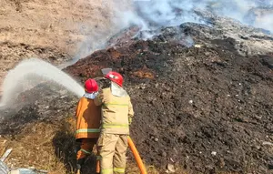 Penyebab Bekas Tambang di Banyuwangi Terbakar