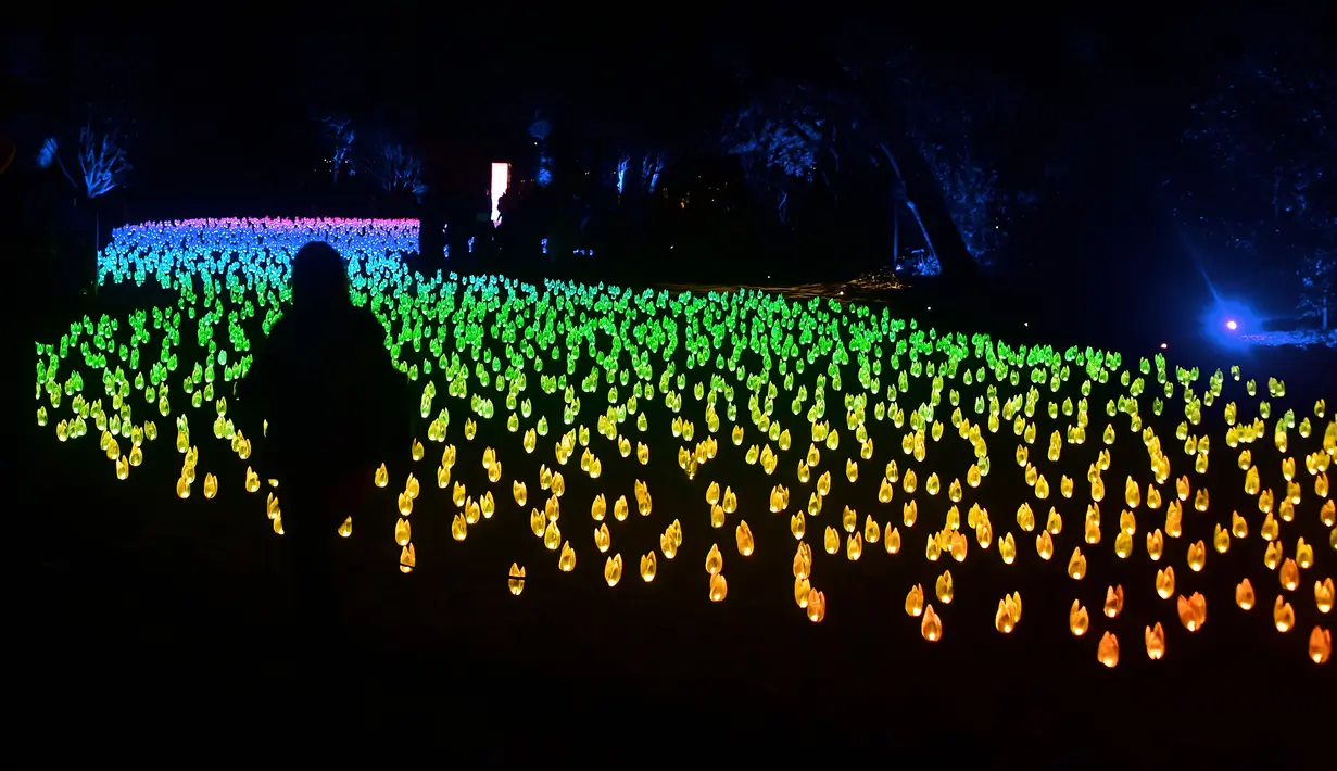 Orang-orang melihat "Hutan Bercahaya" di Taman Descanso, Los Angeles, Senin (17/12). Tampilan tulip menyala ini diletakkan tepat di mana bunga yang asli akan mekar saat musim semi. (Frederic J. BROWN / AFP)