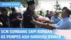PT Surya Citra Media atau SCM pada Minggu (10/07) siang menyumbang seekor sapi kepada Pondok Pesantren Ash-Shiddiqi, Kecamatan Balung, Jember. Sapi jenis limosin itu langsung disembelih dan dagingnya dibagikan ke para santri.