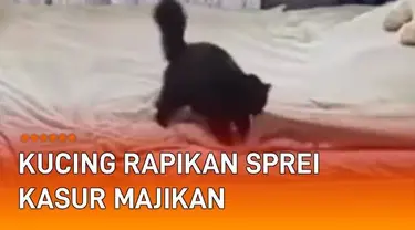 CCTV merekam tingkah menggemaskan anak kucing dan induknya di sebuah kamar. Berawal dari anak kucing yang bermain di atas kasur dan membuat sprei berantakan. Setelah anak kucing pergi, si induk lakukan hal tak terduga.