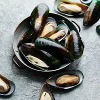 ilustrasi manfaat kerang hijau/Asya Nurullina/shutterstock