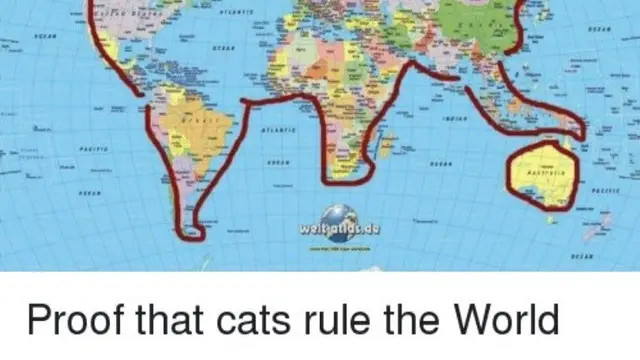 Meme Kucing Menguasai Dunia