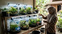 6 Ternak Hewan Mini Pakai Galon Bekas, Solusi Lahan Sempit dan Bisnis Rumahan