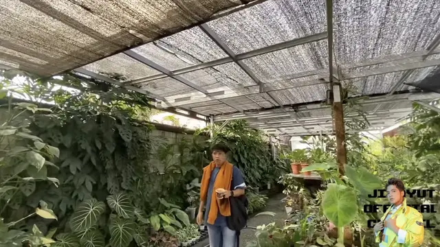 Potret Halaman Belakang Rumah Soimah di Jogja