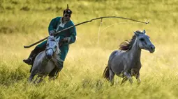 Seorang penggembala menangkap kuda dengan laso dalam atraksi budaya di sebuah pusat pembiakan kuda di Wilayah Ujimqin Barat, Xilin Gol, Daerah Otonom Mongolia Dalam, China utara, pada 31 Juli 2020. (Xinhua/Peng Yuan)