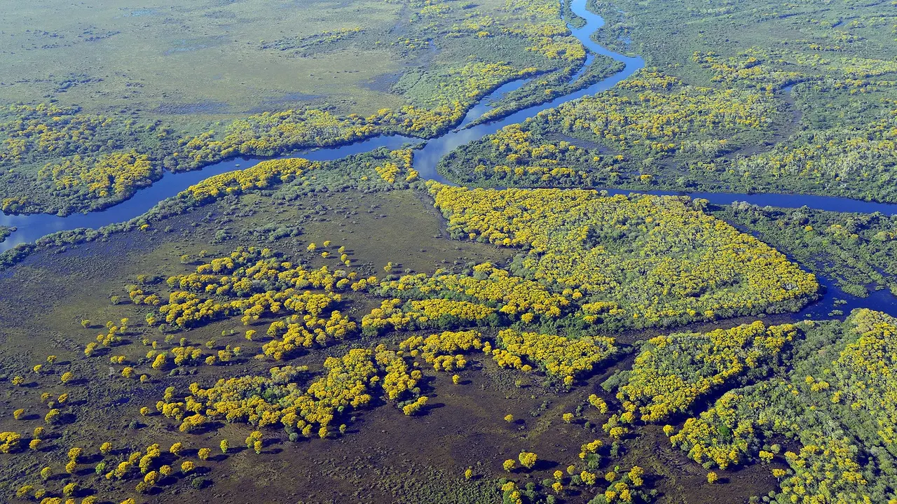 Wetland
