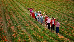 Orang-orang mengunjungi kebun bunga lili di Desa Baiyun, Wilayah Taibai, Provinsi Shaanxi, China barat laut (5/7/2020). Dalam beberapa tahun terakhir, dengan mempromosikan pariwisata pedesaan dan produk pertanian, desa ini telah mengangkat semua penduduknya keluar dari kemiskinan. (Xinhua/Liu Xiao)