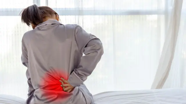 ilustrasi manfaat daun kersen/shutterstock