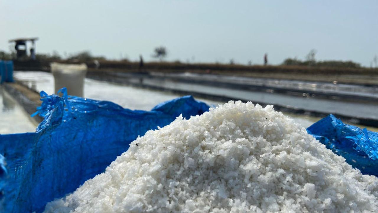 Ironi Petambak Garam Cirebon, Terpuruk di Tengah Panen Raya