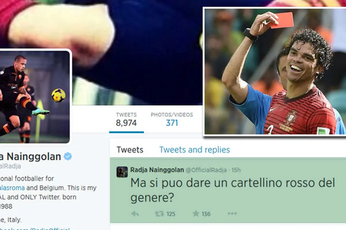 Twitter Radja Nainggolan