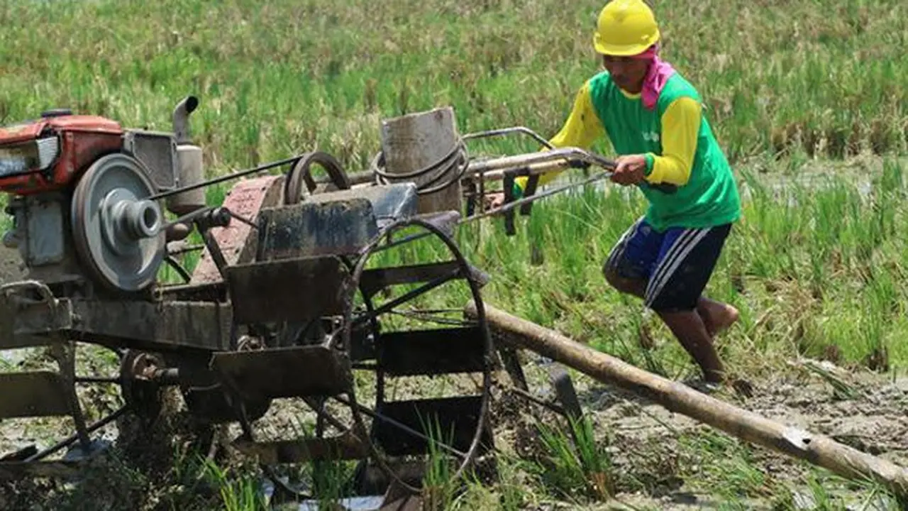 Pembangunan Pertanian, Bantu Atasi Kemiskinan Masyarakat di Sukabumi