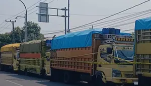 Terbongkar, 40 Ton Pupuk Subsidi Diselundupkan untuk Sawit